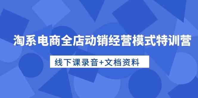 淘系电商全店动销经营模式特训营，线下课录音+文档资料-117资源网