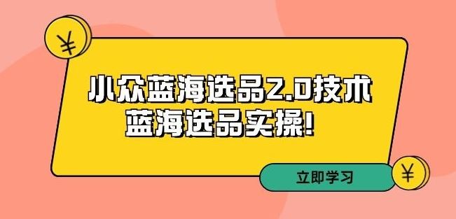 拼多多培训第33期：小众蓝海选品2.0技术-蓝海选品实操！-117资源网