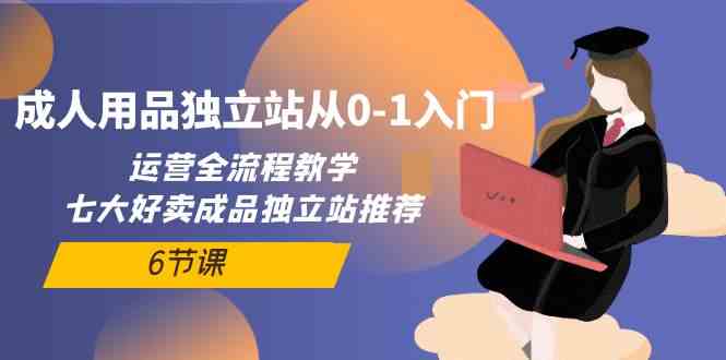 （10082期）成人用品独立站从0-1入门，运营全流程教学，七大好卖成品独立站推荐-6节课-117资源网