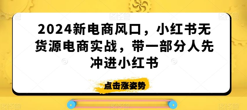 2024新电商风口，小红书无货源电商实战，带一部分人先冲进小红书-117资源网