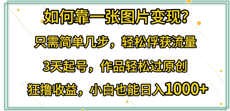 如何靠一张图片变现?只需简单几步，轻松俘获流量，3天起号，作品轻松过原创-117资源网