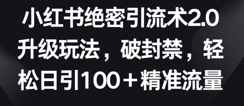 小红书绝密引流术2.0升级玩法，破封禁，轻松日引100+精准流量-117资源网