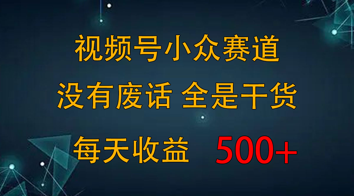 2024视频号新手攻略，今日话题赛道带你日赚300+-117资源网