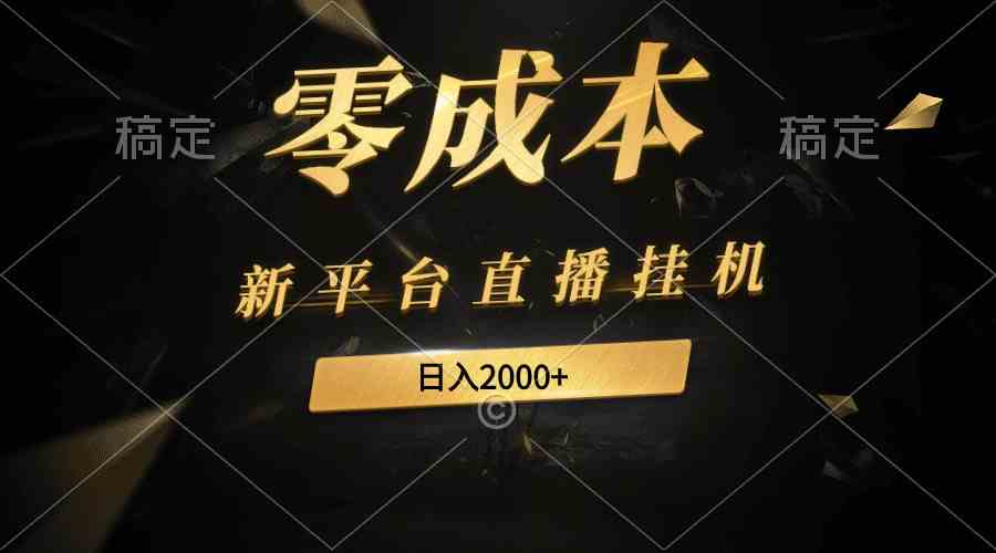 （9841期）新平台直播挂机最新玩法，0成本，不违规，日入2000+-117资源网