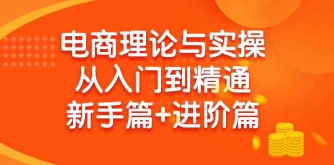 （9576期）电商理论与实操从入门到精通 新手篇+进阶篇-117资源网