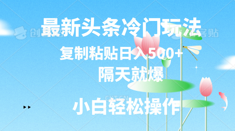 最新头条冷门玩法，隔天就爆，复制粘贴日入500+-117资源网