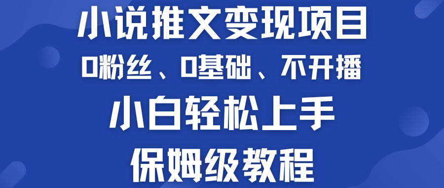 小说推文变现项目 0基础 不开播 小白轻松上手 保姆级教程-117资源网