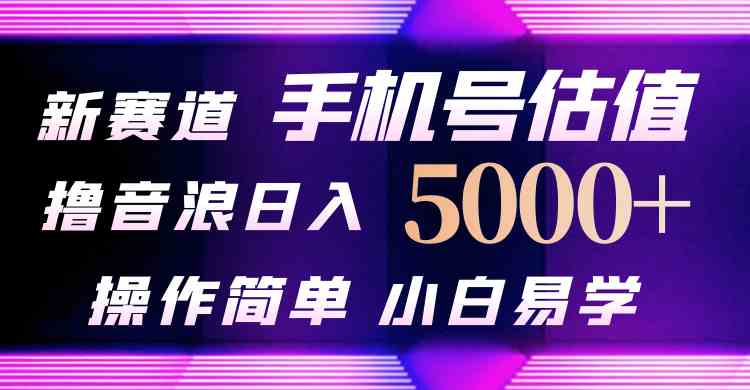 （10154期）抖音不出境直播【手机号估值】最新撸音浪，日入5000+，简单易学，适合…-117资源网