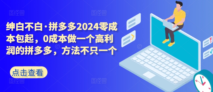 拼多多2024零成本包起，0成本做一个高利润的拼多多，方法不只一个-117资源网