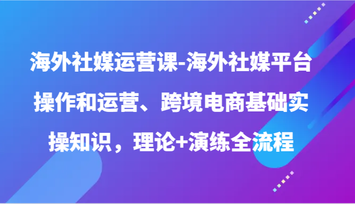 海外社媒运营课-海外社媒平台操作和运营、跨境电商基础实操知识，理论+演练全流程-117资源网