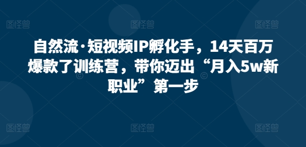 自然流·短视频IP孵化手，14天百万爆款了训练营，带你迈出“月入5w新职业”第一步-117资源网