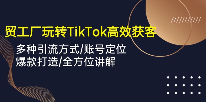 外贸工厂玩转TikTok高效获客，多种引流方式/账号定位/爆款打造/全方位讲解-117资源网