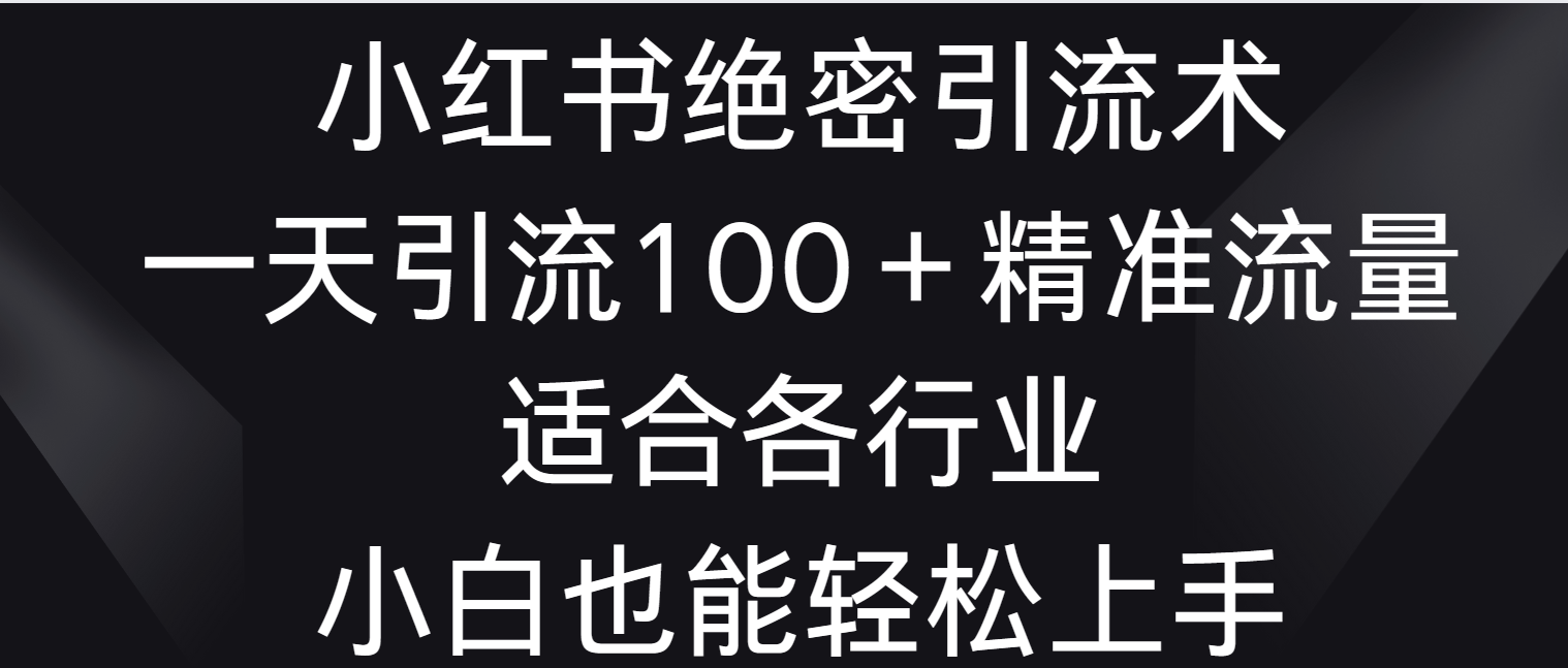 小红书绝密引流术，一天引流100＋精准流量，适合各个行业，小白也能轻松上手-117资源网