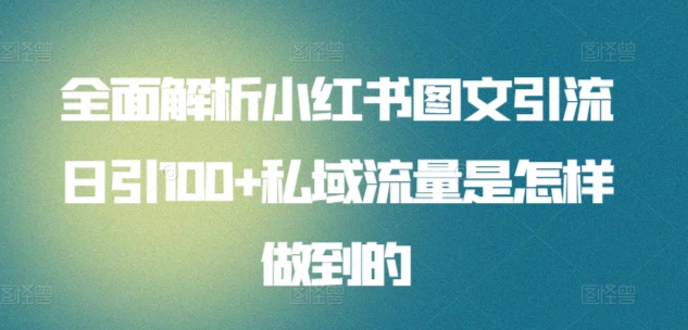 全面解析小红书图文引流日引100+私域流量是怎样做到的-117资源网