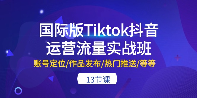 （10712期）国际版Tiktok抖音运营流量实战班：账号定位/作品发布/热门推送/等等-13节-117资源网