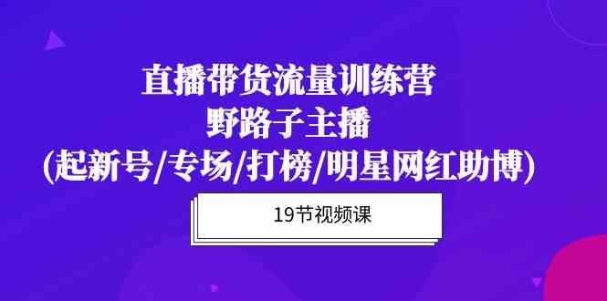 直播带货流量特训营，野路子主播(起新号/专场/打榜/明星网红助博)-117资源网