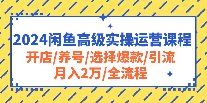 （10711期）2024闲鱼高级实操运营课程：开店/养号/选择爆款/引流/月入2万/全流程-117资源网