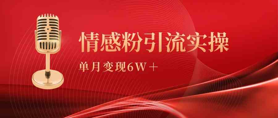 （9473期）单月变现6w+，情感粉引流变现实操课-117资源网