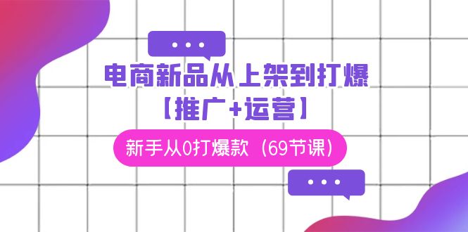 电商新品从上架到打爆【推广+运营】，新手从0打爆款（69节课）-117资源网