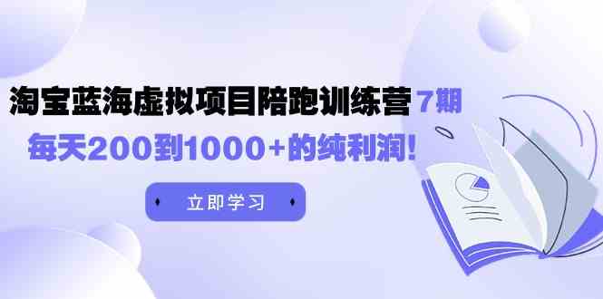 （9541期）黄岛主《淘宝蓝海虚拟项目陪跑训练营7期》每天200到1000+的纯利润-117资源网