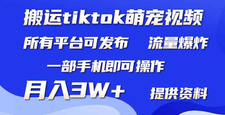 （9618期）搬运Tiktok萌宠类视频，一部手机即可。所有短视频平台均可操作，月入3W+-117资源网