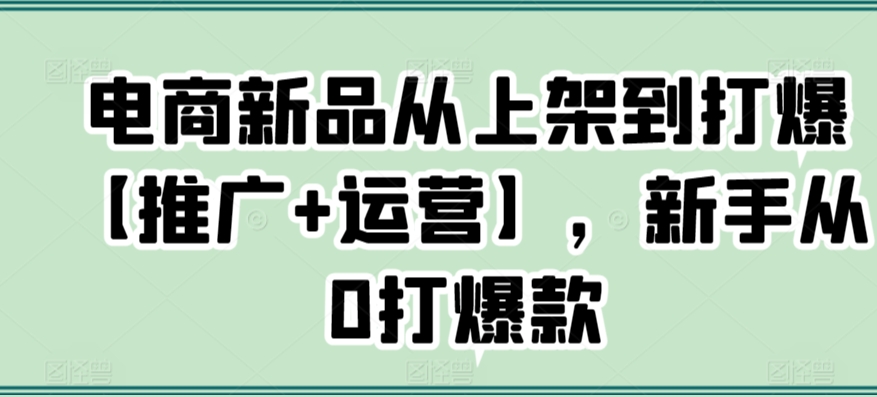 电商新品从上架到打爆【推广+运营】，新手从0打爆款-117资源网