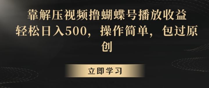 靠解压视频撸蝴蝶号播放收益，轻松日入500，操作简单，包过原创【揭秘】-117资源网