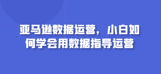 亚马逊数据运营，小白如何学会用数据指导运营-117资源网