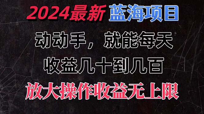 有手就行的2024全新蓝海项目，每天1小时收益几十到几百，可放大操作-117资源网