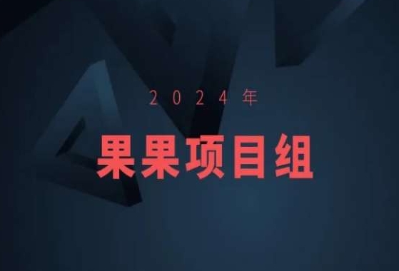 2024年果果项目组项目合集-果果最新项目-117资源网