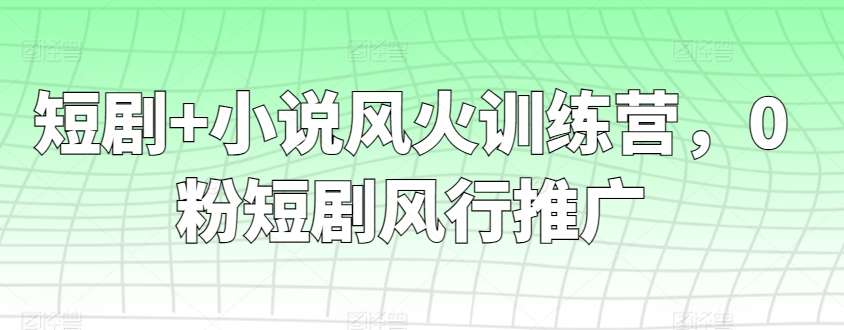 短剧+小说风火训练营，0粉短剧风行推广-117资源网