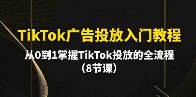 （10085期）TikTok广告投放入门教程，从0到1掌握TikTok投放的全流程（8节课）-117资源网