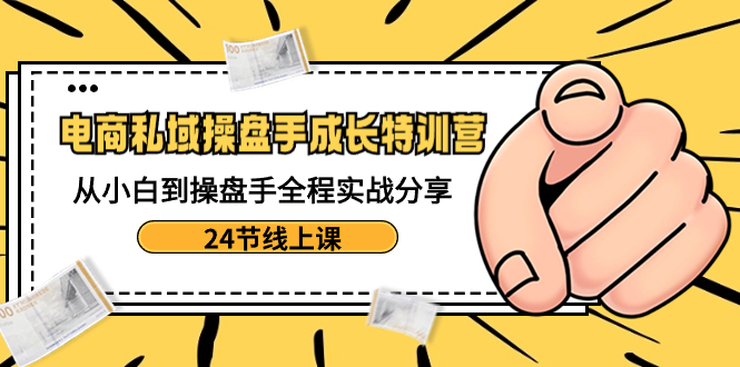 电商私域-操盘手成长特训营：从小白到操盘手全程实战分享-24节线上课-117资源网