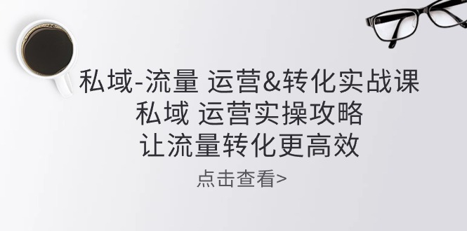 （10739期）私域-流量 运营&转化实操课：私域 运营实操攻略 让流量转化更高效-117资源网