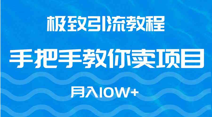 （9265期）极致引流教程，手把手教你卖项目，月入10W+-117资源网