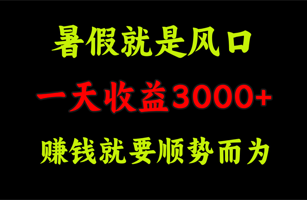 一天收益3000+ 赚钱就是顺势而为，暑假就是风口-117资源网