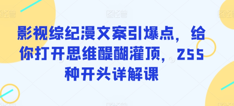 影视综纪漫文案引爆点，给你打开思维醍醐灌顶，255种开头详解课-117资源网