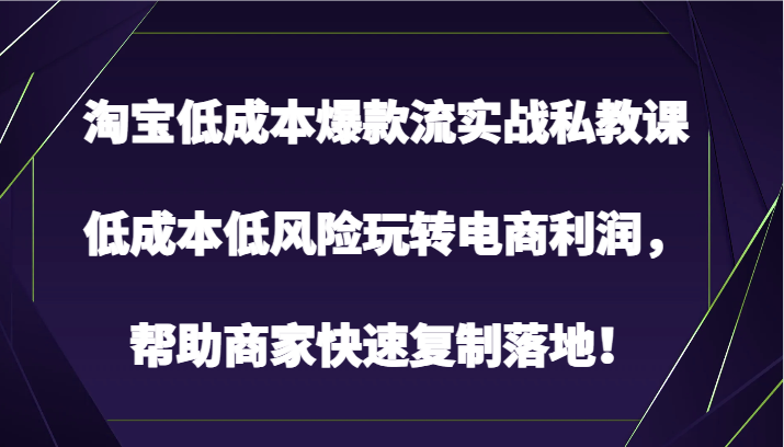 淘宝低成本爆款流实战私教课，低成本低风险玩转电商利润，帮助商家快速复制落地！-117资源网