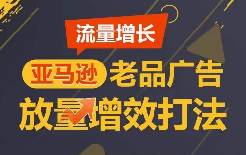 流量增长 亚马逊老品广告放量增效打法，短期内广告销量翻倍-117资源网