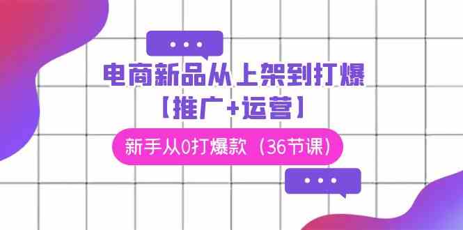 （9286期）电商 新品从上架到打爆【推广+运营】，新手从0打爆款（36节课）-117资源网