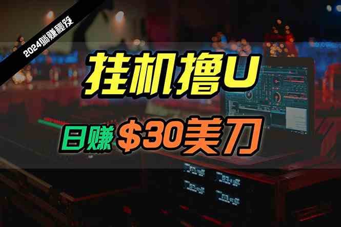 （10013期）日赚30美刀，2024最新海外挂机撸U内部项目，全程无人值守，可批量放大-117资源网