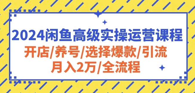 2024闲鱼高级实操运营课程：开店/养号/选择爆款/引流/月入2万/全流程-117资源网