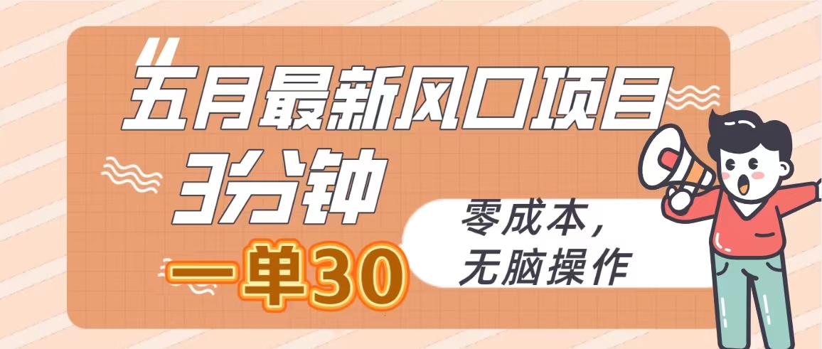 （10256期）五月最新风口项目，3分钟一单30，零成本，无脑操作-117资源网