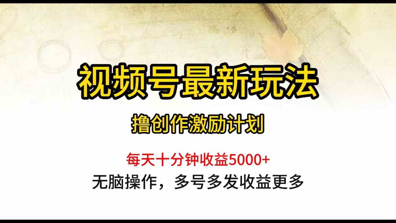 （10087期）视频号最新玩法，每日一小时月入5000+-117资源网