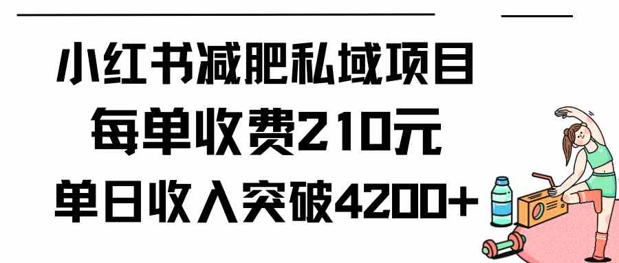 （9466期）小红书减肥私域项目每单收费210元单日成交20单，最高日入4200+-117资源网