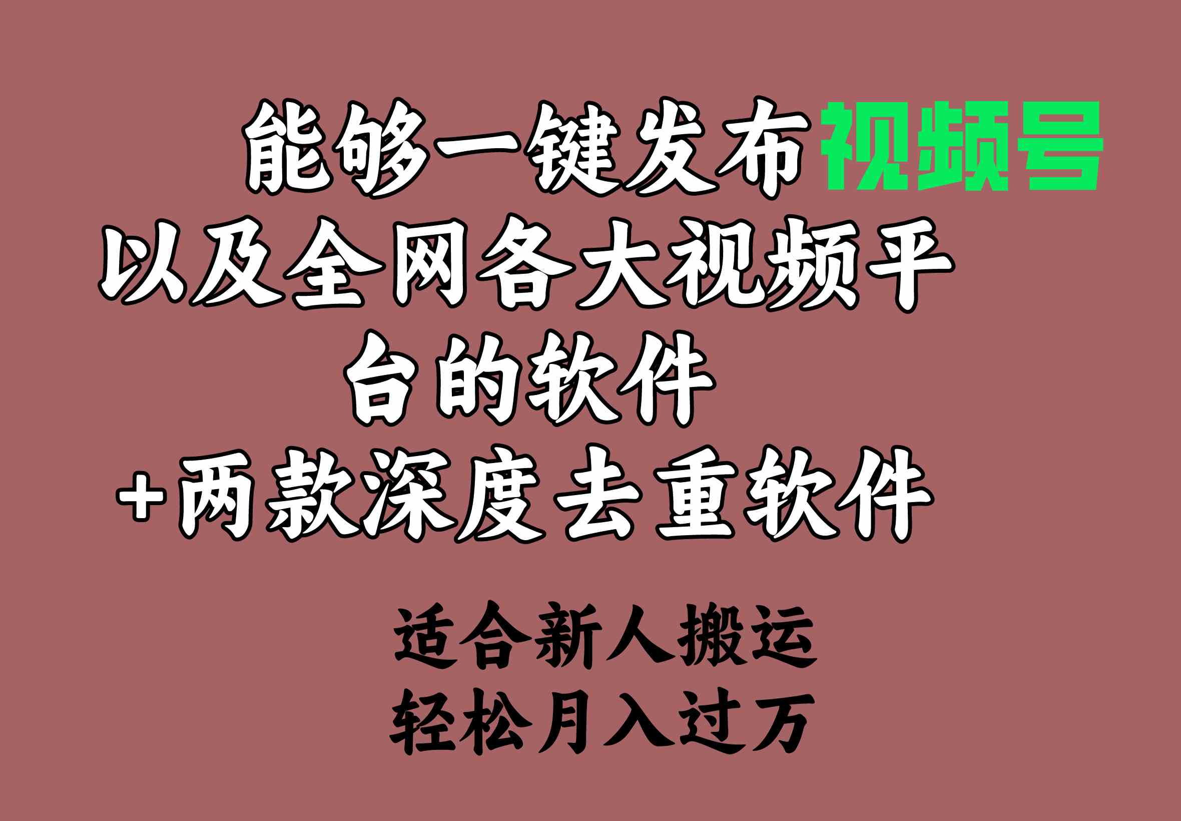 （9319期）能够一键发布视频号以及全网各大视频平台的软件+两款深度去重软件 适合…-117资源网