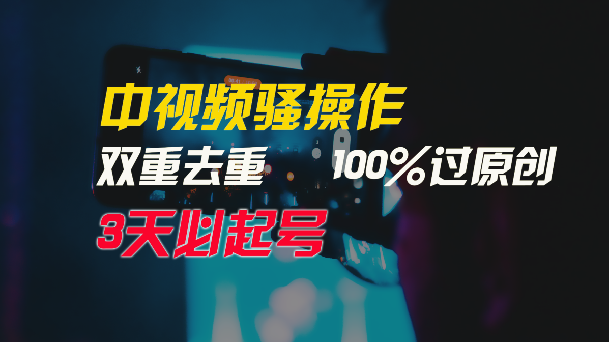 中视频骚操作，双重去重100%过原创，3天比必起号，简单无脑，月入3W+-117资源网