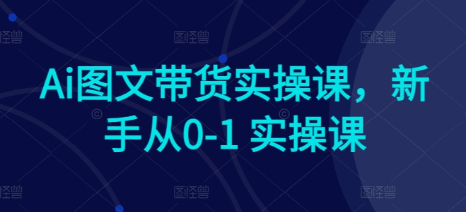 Ai图文带货实操课，新手从0-1 实操课-117资源网