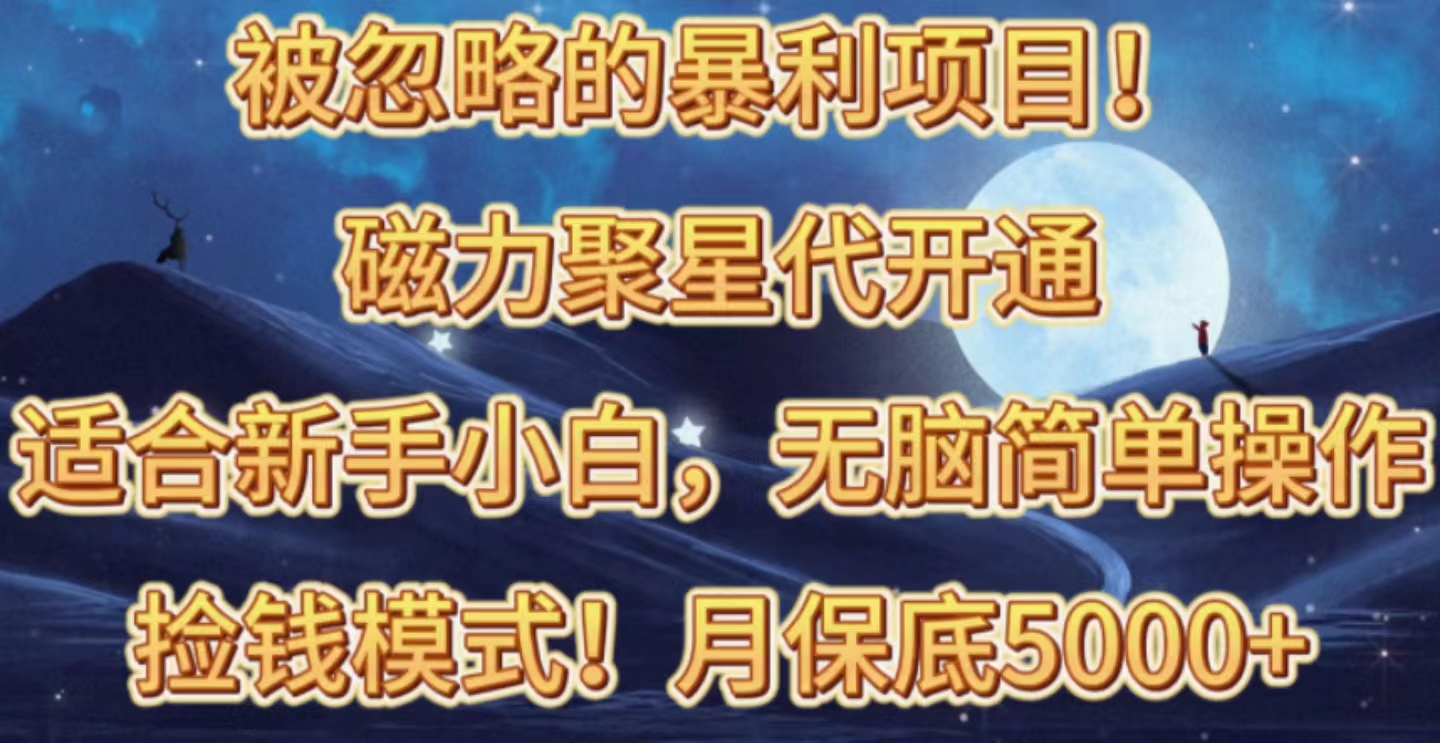 （10245期）被忽略的暴利项目！磁力聚星代开通捡钱模式，轻松月入五六千-117资源网