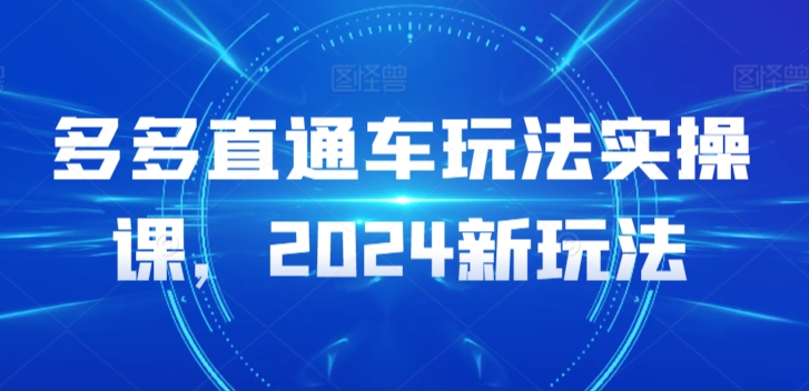 多多直通车玩法实操课，2024新玩法-117资源网